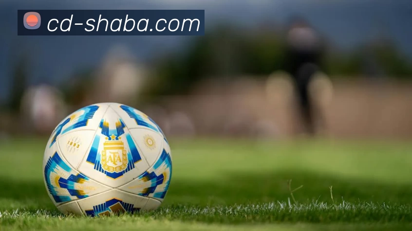 沙巴体育平台APP 封面图